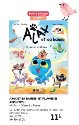 Auchan AJAX ET SA BANDE ET PLUMES SI AFFINITÉS offre