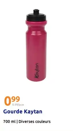 Action KAYTAN Gourde offre