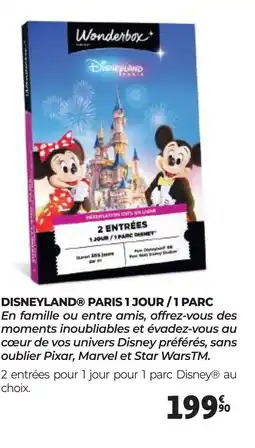 Auchan DISNEYLAND PARIS 1 JOUR,1 PARC offre