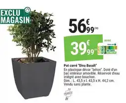 Gamm vert Dim - pot carré 'diva basant' offre