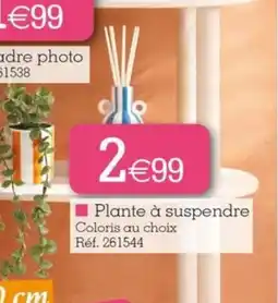 Kandy Plante à suspendre offre
