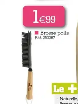Kandy Brosse poils offre