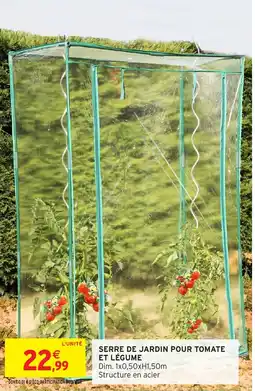 Intermarché Hyper Serre de jardin pour tomate et légume offre