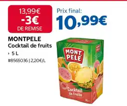 Costco MONTPELE Cocktail de fruits offre