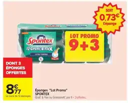 Carrefour Éponges Lot Promo SPONTEX offre