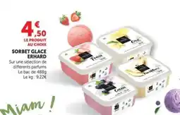 Hyper U SORBET GLACE ERHARD offre