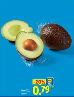 Lidl Avocat offre