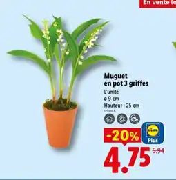Lidl Muguet en pot 3 griffes offre