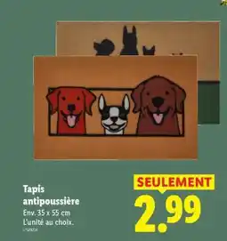 Lidl Tapis antipoussière offre