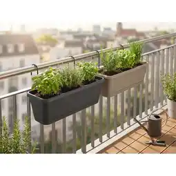 Carrefour Market Eda jardinière chorus + support offre