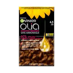 Carrefour Market Garnier coloration olia offre