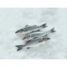 Carrefour Carrefour bar offre