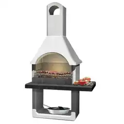Carrefour Barbecue charbon brianza offre