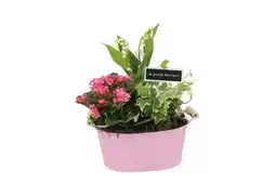 Carrefour Composition en zinc offre