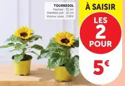 U Express Tournesol offre