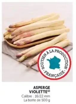 U Express Asperge violette offre