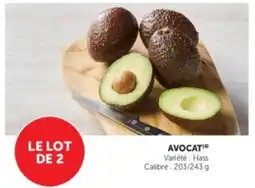U Express Avocat offre