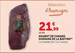 Bi1 Canard - magret de offre