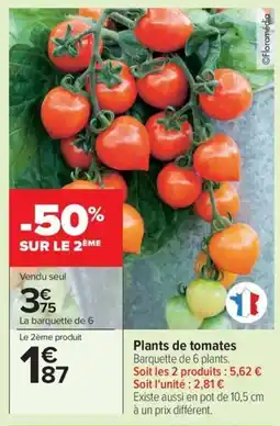 Carrefour Drive Plants de tomates offre