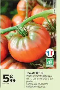 Carrefour Drive Tomate bio offre