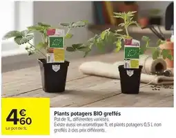 Carrefour Drive Plants potagers bio greffés offre