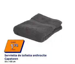 Action Serviette de toilette anthracite offre
