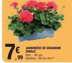 E.Leclerc Jardinière de géranium zonale offre