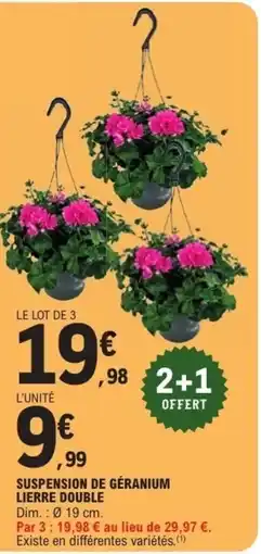 E.Leclerc Suspension de géranium lierre double offre