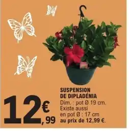 E.Leclerc Suspension de dipladénia offre