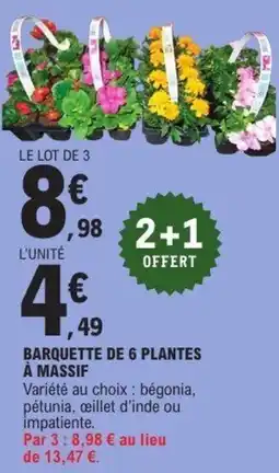 E.Leclerc Barquette de 6 plantes à massif offre