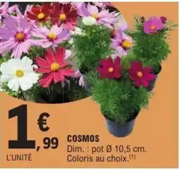 E.Leclerc Cosmos offre