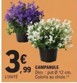 E.Leclerc Campanule offre