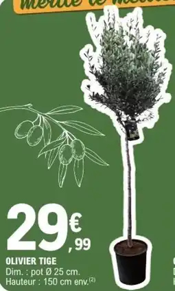 E.Leclerc Olivier tige offre