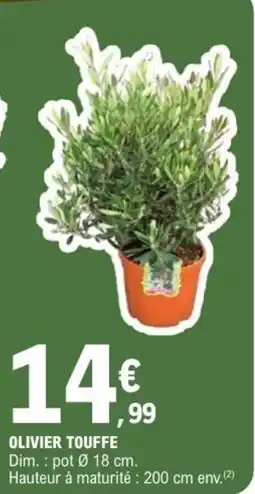 E.Leclerc Olivier touffe offre
