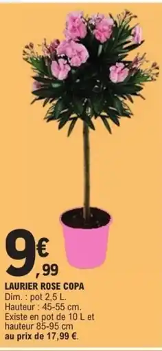 E.Leclerc Laurier rose copa offre