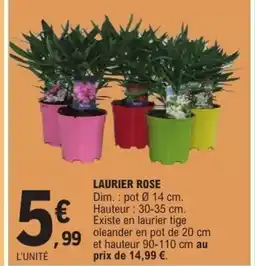 E.Leclerc Laurier rose offre
