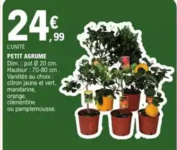 E.Leclerc Petit agrume offre