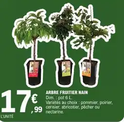 E.Leclerc Arbre fruitier nain offre
