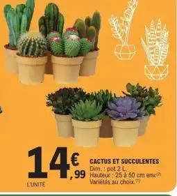 E.Leclerc Cactus et succulentes offre