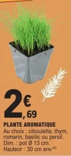 E.Leclerc Plante aromatique offre