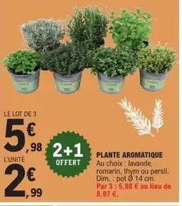 E.Leclerc Plante aromatique offre