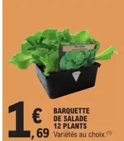 E.Leclerc Barquette de salade 12 plants offre