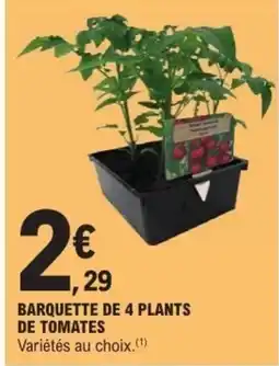 E.Leclerc Barquette de 4 plants de tomates offre