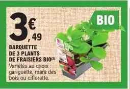 E.Leclerc Barquette de 3 plants de fraisiers bio offre