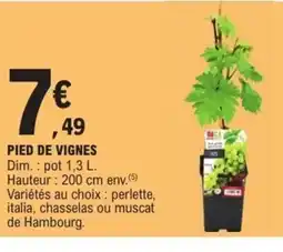 E.Leclerc Pied de vignes offre