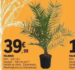 E.Leclerc Palmier offre