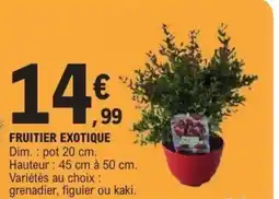 E.Leclerc Fruitier exotique offre