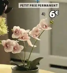 JYSK GUDJON Plante artificielle offre