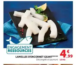 Super U Lamelles d'encornet geant offre