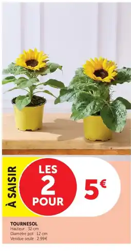 Super U Tournesol offre